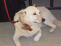 Thumbnail of SAM_2718.jpg