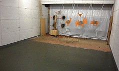 Thumbnail of fischü5.jpg